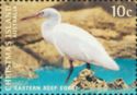 Eastern Reef Egret (Egretta sacra)